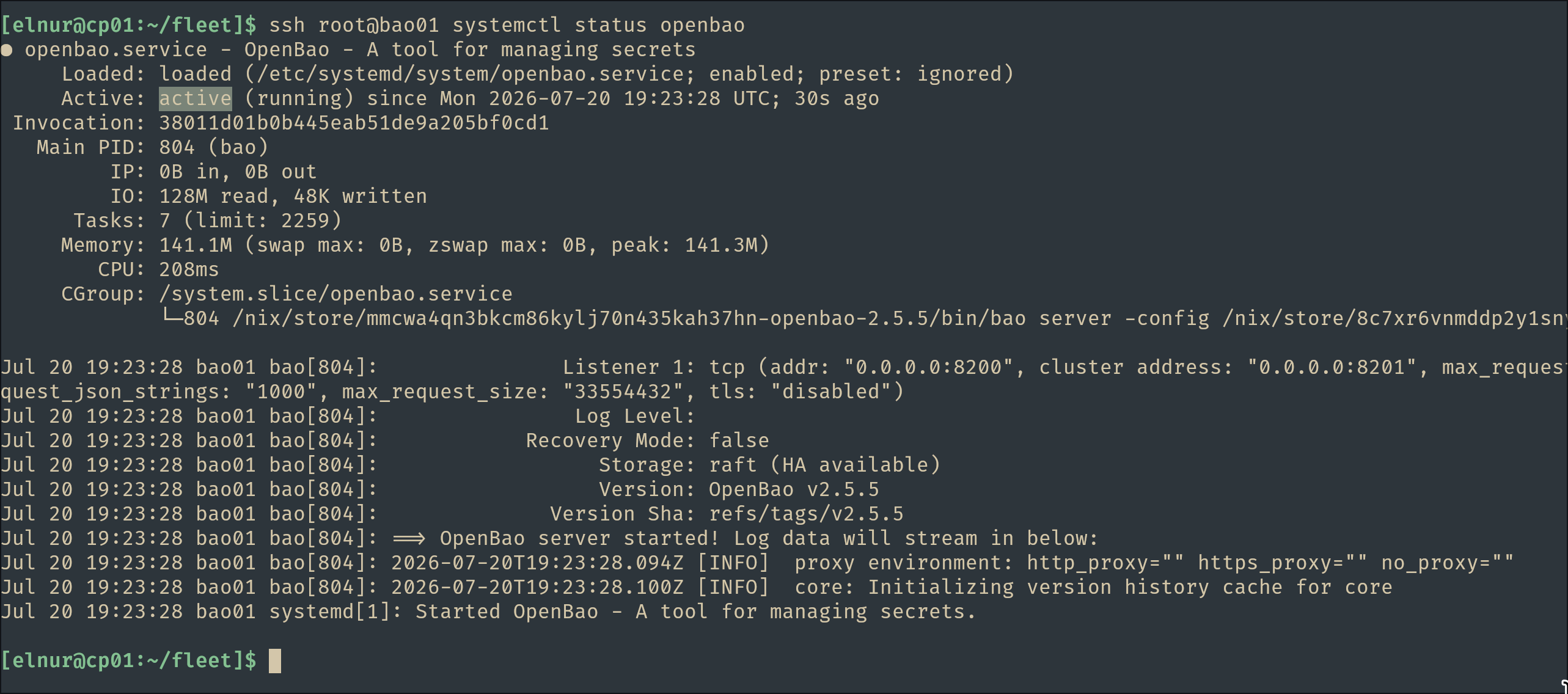 OpenBao service running on bao01